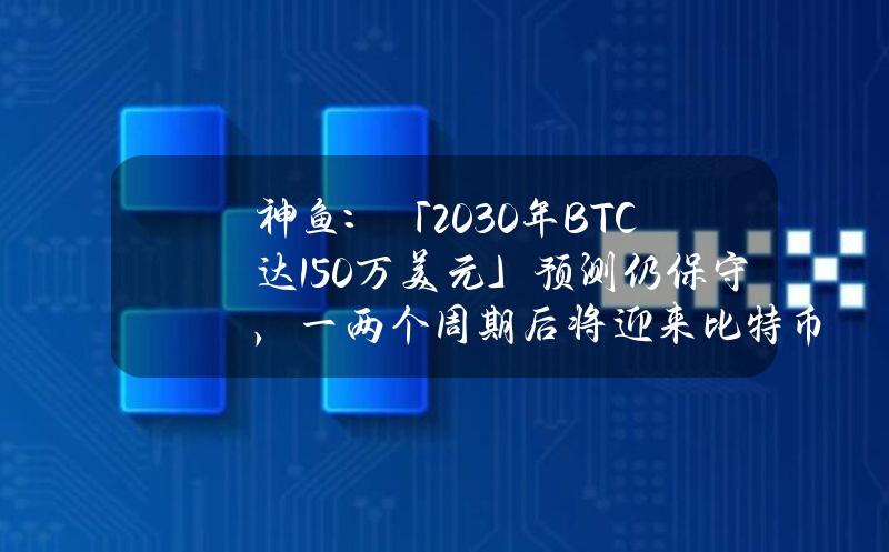 神鱼：「2030年BTC达150万美元」预测仍保守，一两个周期后将迎来比特币大规模应用爆发