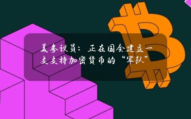 美参议员：正在国会建立一支支持加密货币的“军队”