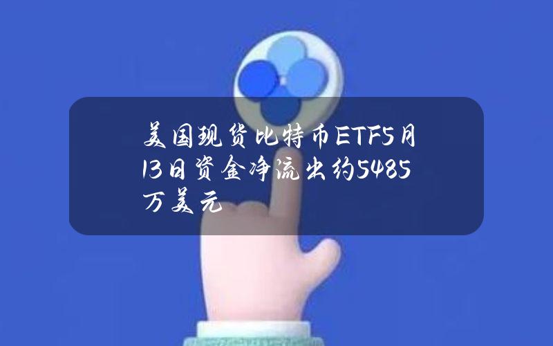 美国现货比特币ETF5月13日资金净流出约5485万美元