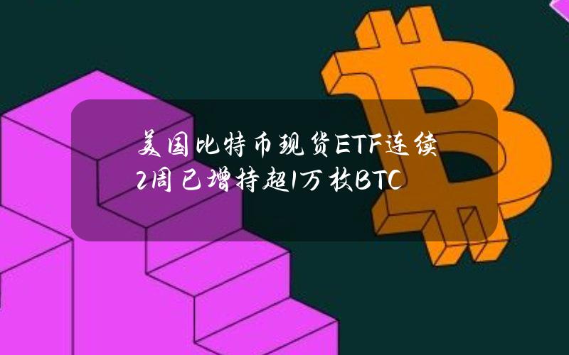 美国比特币现货ETF连续2周已增持超1万枚BTC