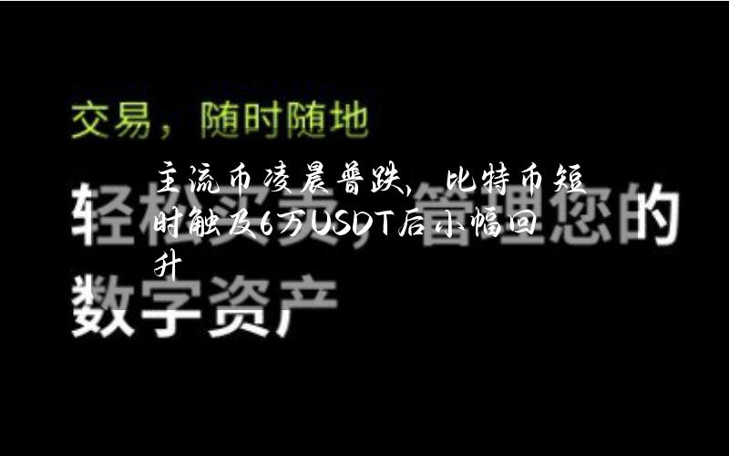 主流币凌晨普跌，比特币短时触及6万USDT后小幅回升