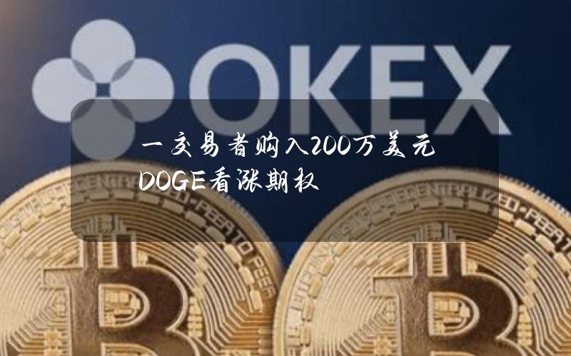 一交易者购入200万美元DOGE看涨期权