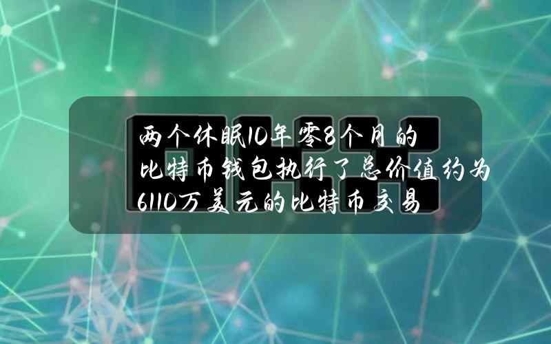 两个休眠10年零8个月的比特币钱包执行了总价值约为6110万美元的比特币交易