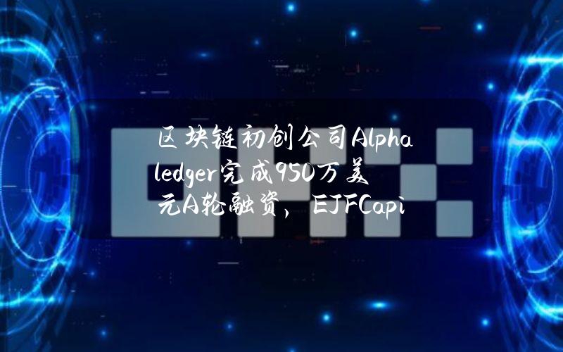 区块链初创公司Alphaledger完成950万美元A轮融资，EJFCapital领投