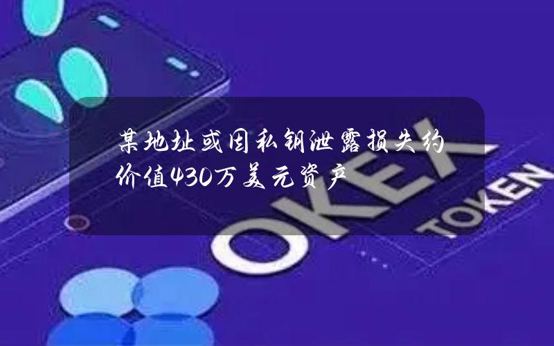 某地址或因私钥泄露损失约价值430万美元资产