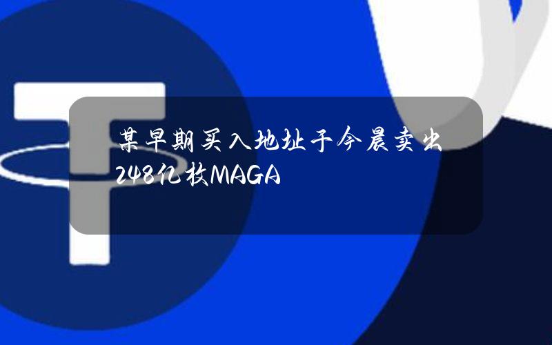 某早期买入地址于今晨卖出24.8亿枚MAGA