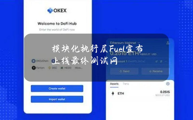 模块化执行层Fuel宣布上线最终测试网