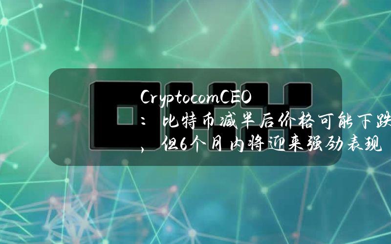 Crypto.comCEO：比特币减半后价格可能下跌，但6个月内将迎来强劲表现