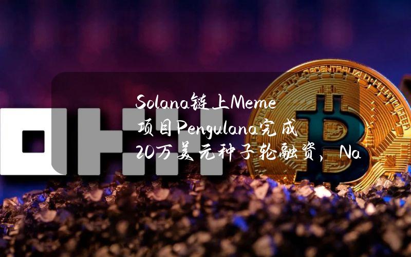 Solana链上Meme项目Pengulana完成20万美元种子轮融资，NanosproutVentures领投